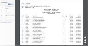 Bao cao tong hop xuat xem truoc.png