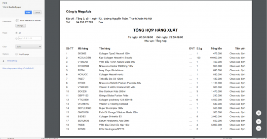 Bao cao tong hop xuat xem truoc.png
